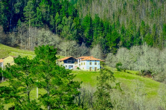 A building amid beautiful trees in Cofino, Asturias, Spain