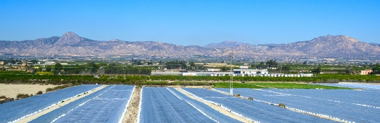 A crop covered for protection against heat, Alicante province, S