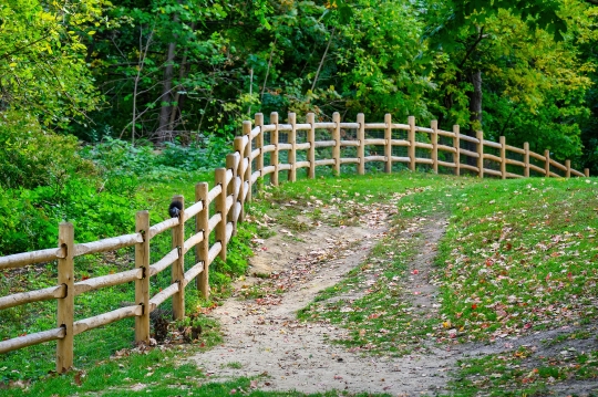 A wooden fence in High Park.