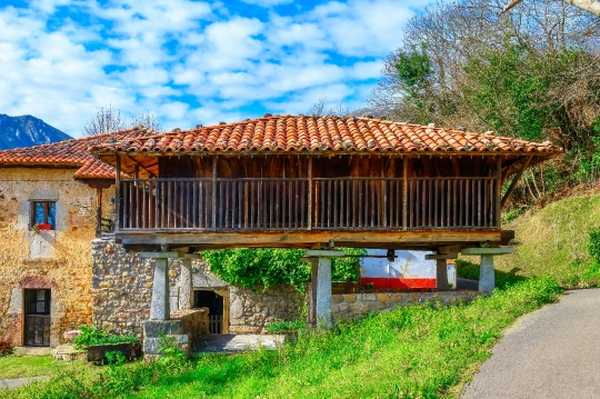 Agricultural Horreo Building