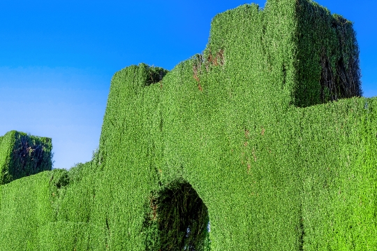 Alhambra Garden in Spain