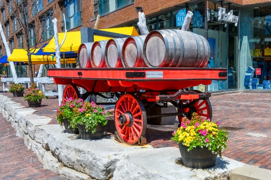 Ancient Cart Toronto