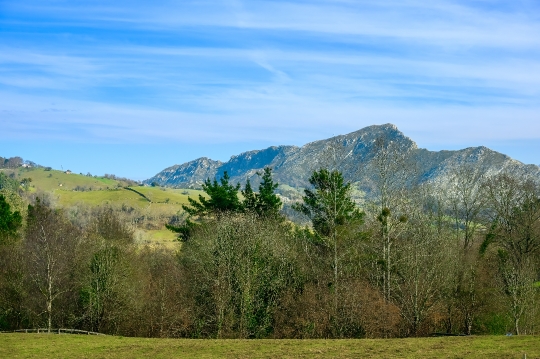 Andalusia Landscape