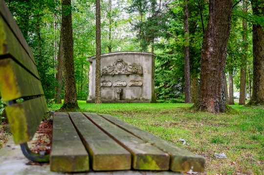 Bench and Stone Wall in Guildwood Park