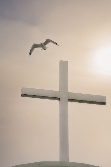 Bird Flying Over Cross