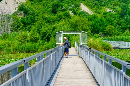 Bluffers Public Park