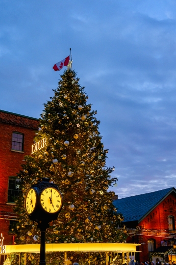 Christmas Tree Distillery District