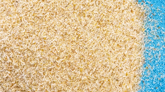 Close-up of psyllium dietary fiber.