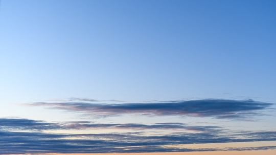 Clouds lined in a blue dawn sky