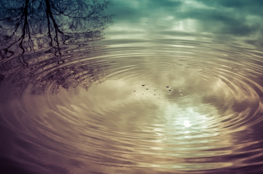 Concentric ripples in water of pond with the sun reflected over