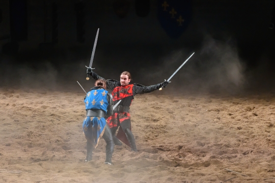 Double Sword Fight