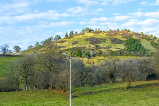 Electric Pole in Rural Area in Asturias