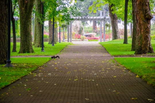 Footpath in Rossetta McClain Gardens