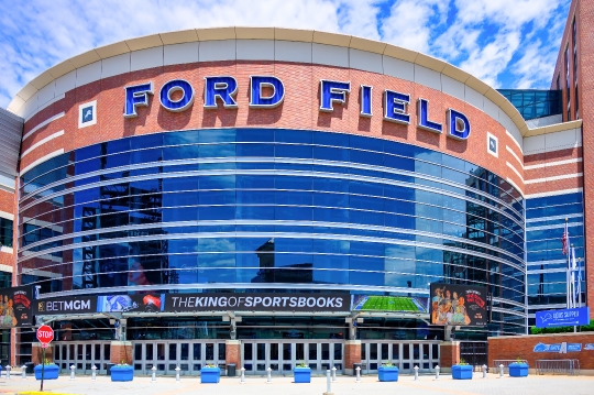 Ford Field Sports Venue