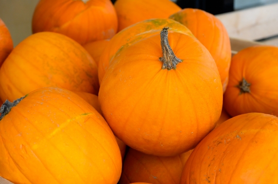 Halloween Pumpkins