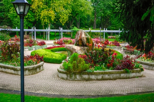 High Angle View of Garden