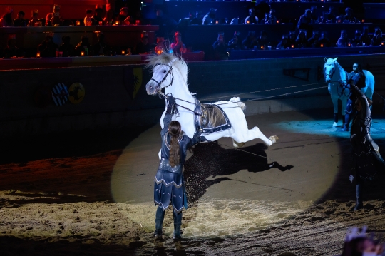 Horse Kicking Medieval Times