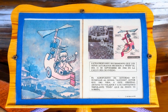 Information sign: Original flying artifact of the character Pini