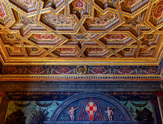 Intricate, luxurious wooden ceiling inside a room of the medieva