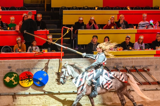 Jousting Knight Medieval Times