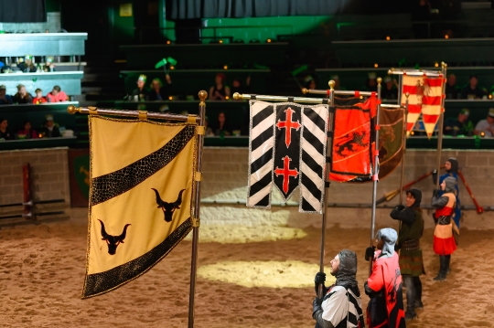 Knights Banners Presented To The Queen