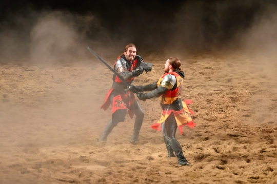 Knights Fighting Medieval Times