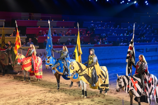 Knights in Horses