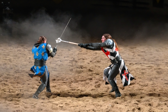 Knights in the Arena