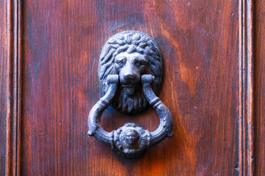 Lion Head Knocker