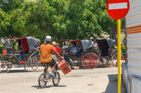 Man riding bicycle havana