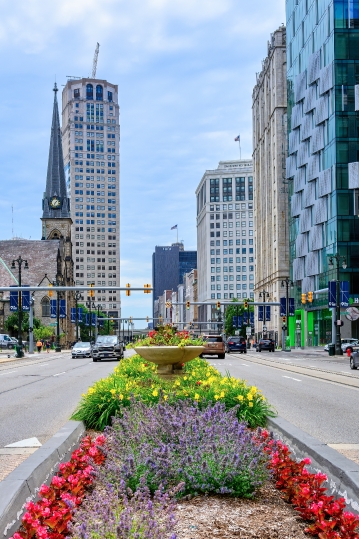 Median Garden Madison Avenue