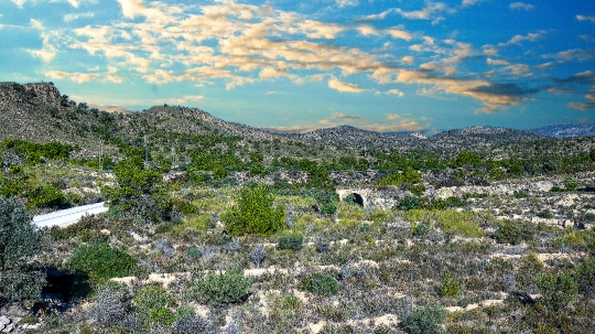 Morning clouds in semi-arid land