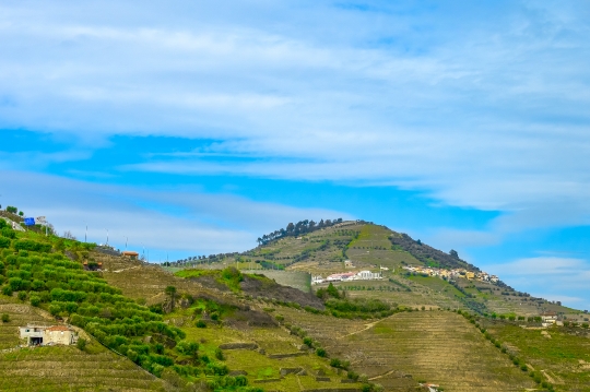 Mountain with agricultural terraced fields in the Douro Valley.