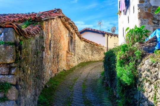 Narrow Cobblestone Street In Cofino