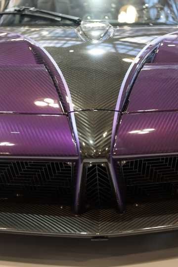 Pagani Grille and Hood