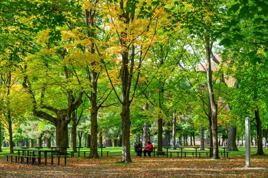 People enjoying nature in High Park at the beginning of the autu