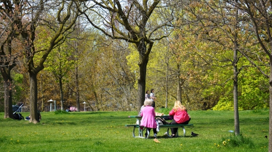 People enjoying the springtime season