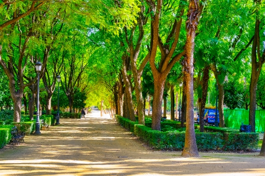 Public Park Garden Plaza de Espana Seville