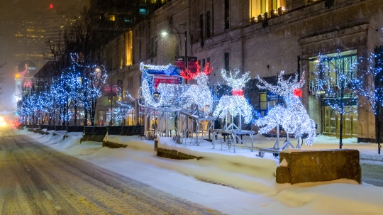 Reindeers Decorations in Christmas