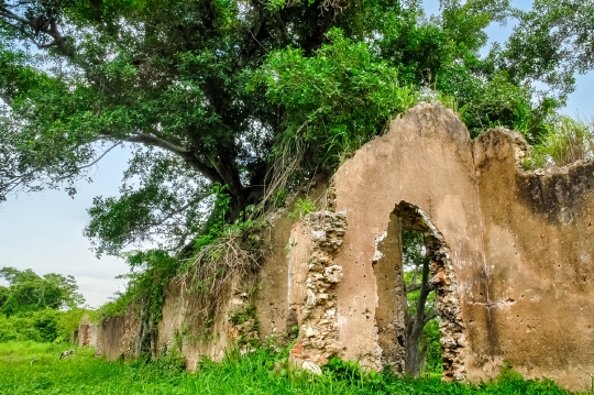 Ruins of the  _qt_Trocha Majana Mariel_qt_ in Cuba