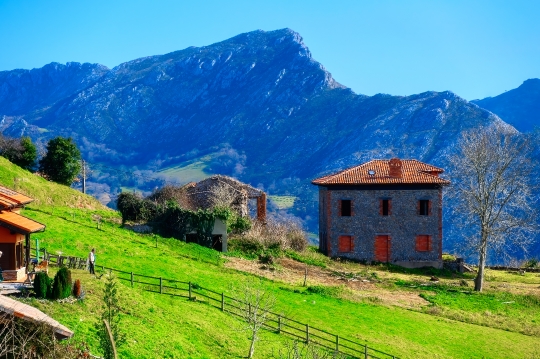 Rural House and Landscape