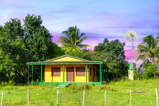 Rural house and windmill, Cuba