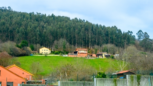 Rural Houses by Tree Area in Asturias