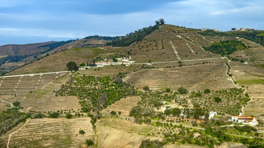 Scattered buildings on a mountain ridge by terraced agricultural