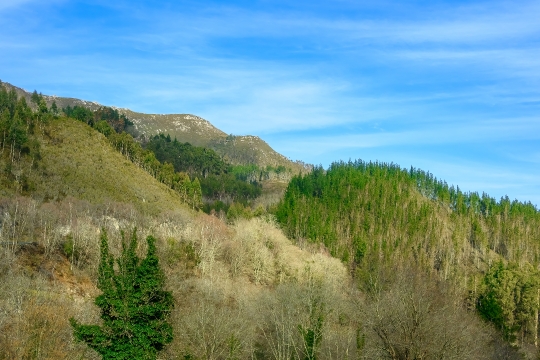 Scenery in Spain