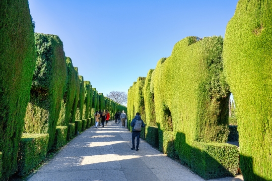 Sculpted Gardens