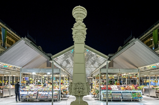 Sculpture at the entrance of the Bolhao Market, captured in a ni