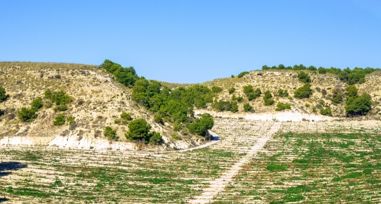 Semi-arid landscape in Alicante province, Spain