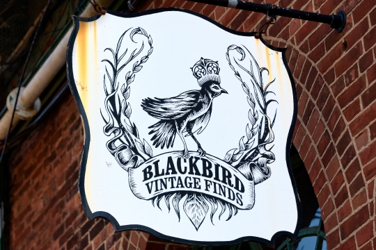 Sign of Blackbird Vintage Finds