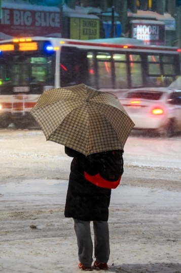 Snow Storm and Person With Umbrella